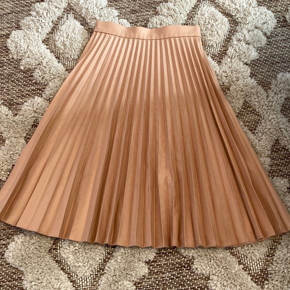 Zara Dresses & Skirts - A-lined pleated Zara skirt.